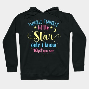 Twinkle Twinkle Little Star Gender Reveal Party Baby Shower Hoodie